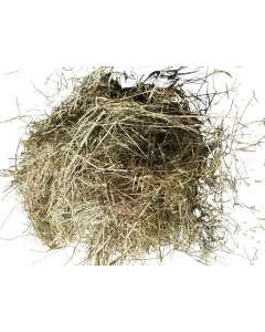 Grof weidehooi uit het Rijnland &ndash; 8,8 procent suiker &ndash; 90 cm &ndash; 550 kg